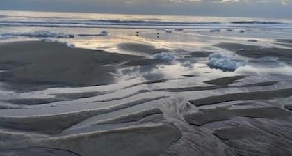 Historic 1940's Beach Cottage, steps to the beach!