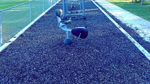 Un área de ejercicios al aire libre con equipamiento, una cancha deportiva cercada y árboles de fondo.