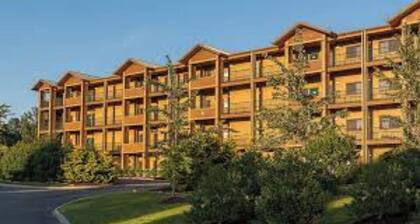 Enjoy the Smokey Mountains