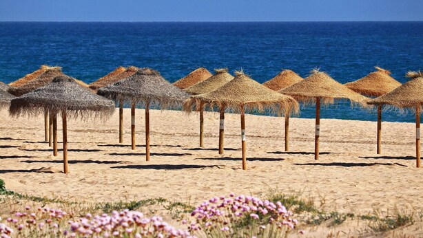 A beach with thatched umbrellas and a sandy shore. - Amazing Apt. in the Heart of Vilm by Centralgarve (Quarteira)