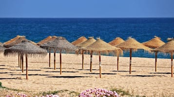 Relax under the shade of our thatched umbrellas, surrounded by vibrant flowers and the soothing sound of the sea.