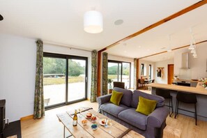 Smart TV, fireplace, stereo