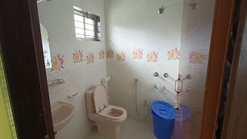 Combined shower/bathtub