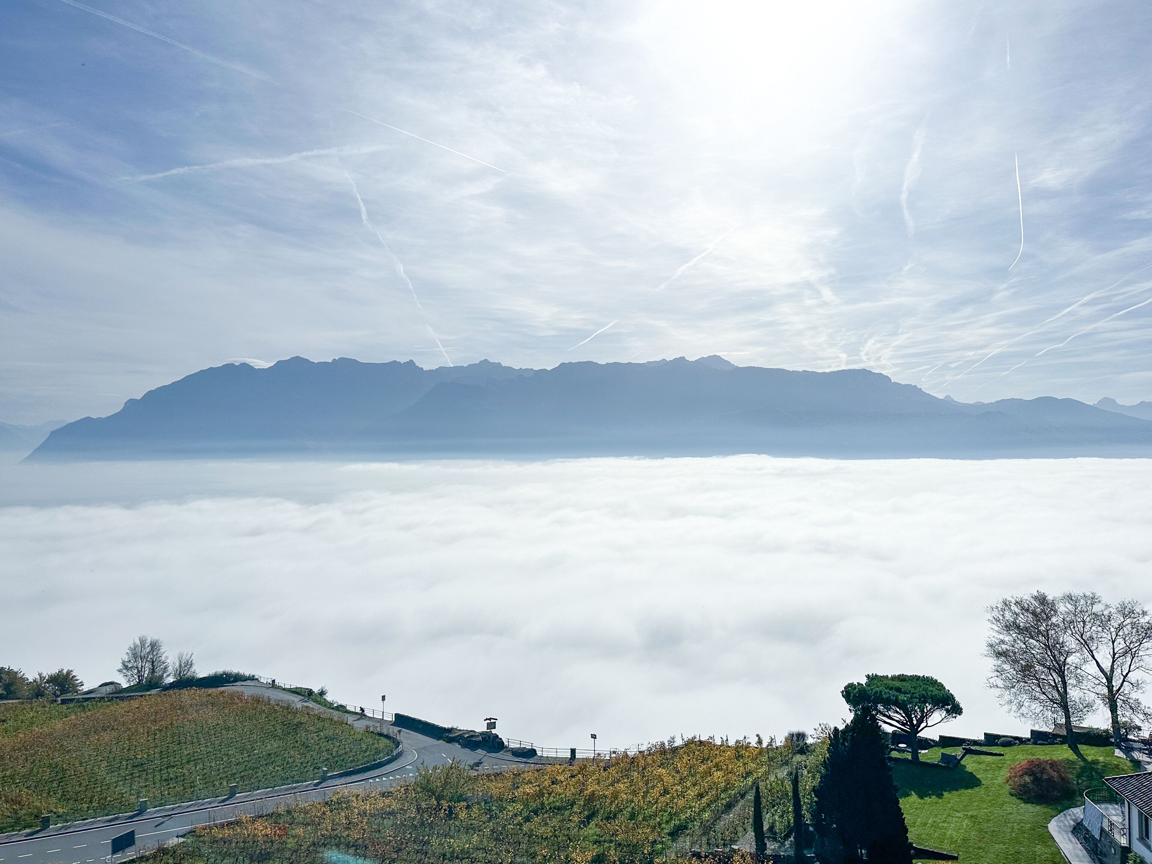 Paesaggio montuoso con una strada che si snoda attraverso una valle, circondata da vegetazione e alberi.