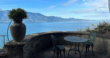 Panoramic APT in the Vineyard with stunning 360 ° view of Lake Geneva and Alps