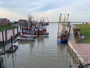 Marina/club náutico