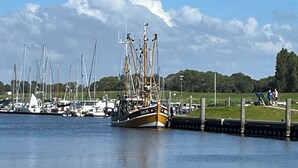 Un puerto deportivo con varios veleros amarrados.