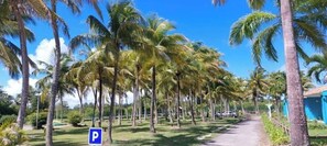A pathway lined with palm trees, a parking sign, and a building with a blue roof.
