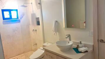 Shower, hair dryer, bidet, towels