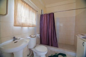 Shower, soap, shampoo, toilet paper - Romantic cottage with a mountain view (Itogon)