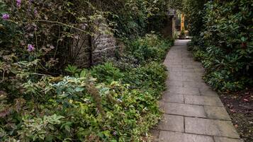 Área da propriedade