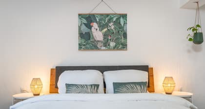 Kakadu - Design Old Building, Central, Terrace, SNES & Stream