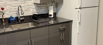 The Disco Den Downtown Champaign