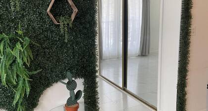 Eluna Downtown Champaign