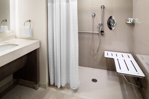 Chambre, 1 très grand lit et 1 canapé-lit (Roll-In Shower) | Salle de bain