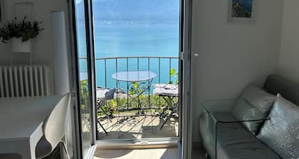 Stunning APT with 360 ° panoramic view of lake Geneva and Alls in the vineyard
