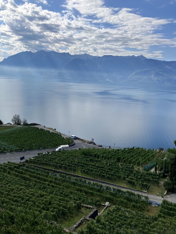 A vineyard with rows of grapevines, a road, and a body of water with mountains in the background. - Stunning APT with 360 ° panoramic view of lake Geneva and Alls in the vineyard (Puidoux)