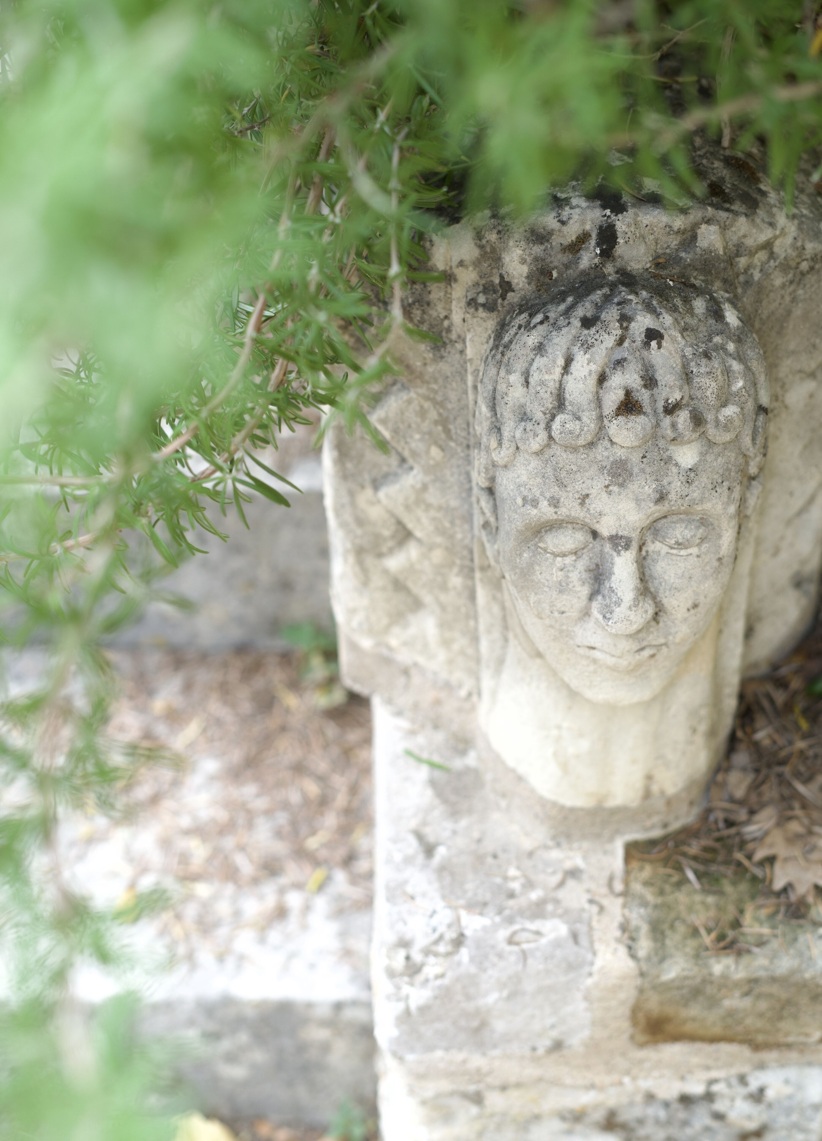 Eine Steinskulptur, teilweise von Vegetation verdeckt.