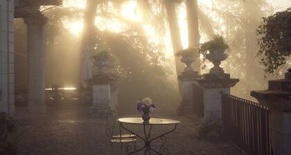 Charming manor house with 2 suites, swimming pool, 15 min from Chenonceau and Beauval