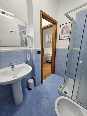 Shower, hair dryer, bidet, towels