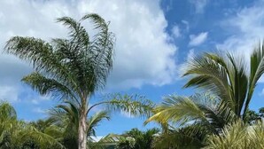A tropical garden with palm trees and a building with a red door. - Lovely 1 Bedroom with a Pool (Jupiter)