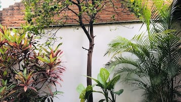 Jardín