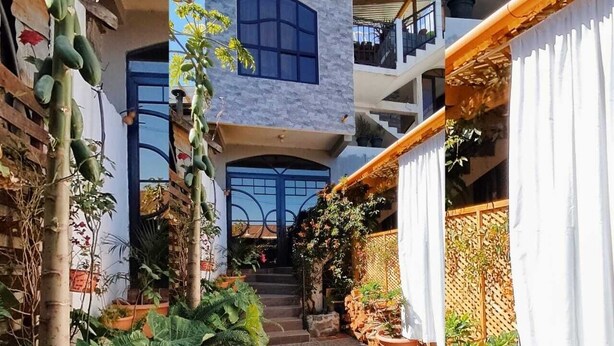 A narrow pathway flanked by potted plants and a building with a blue door and windows.