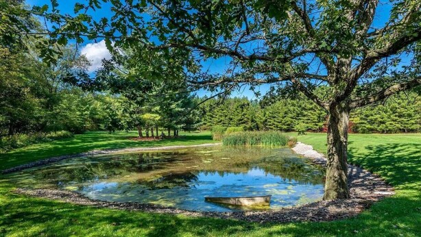 A serene pond surrounded by lush greenery and trees, with a clear sky above.