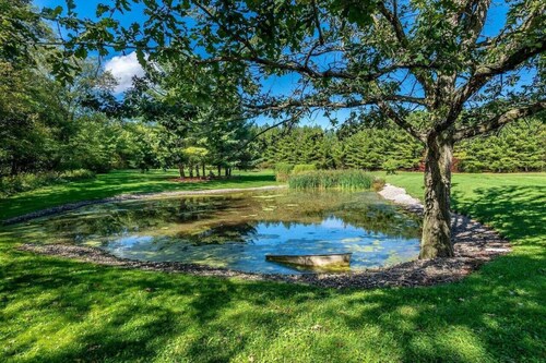 147 Concession 1 Rd ·Forest Hideaway | Autumn Colors & Fireside Nights