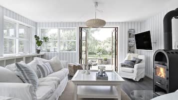 Smart TV, fireplace