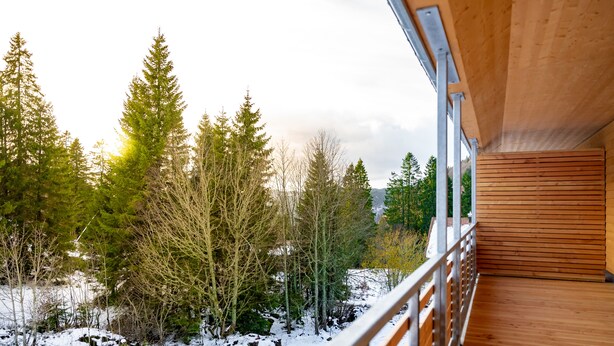 Eine Holzterrasse mit Metallgeländer, die auf einen verschneiten Wald mit immergrünen Bäumen blickt.