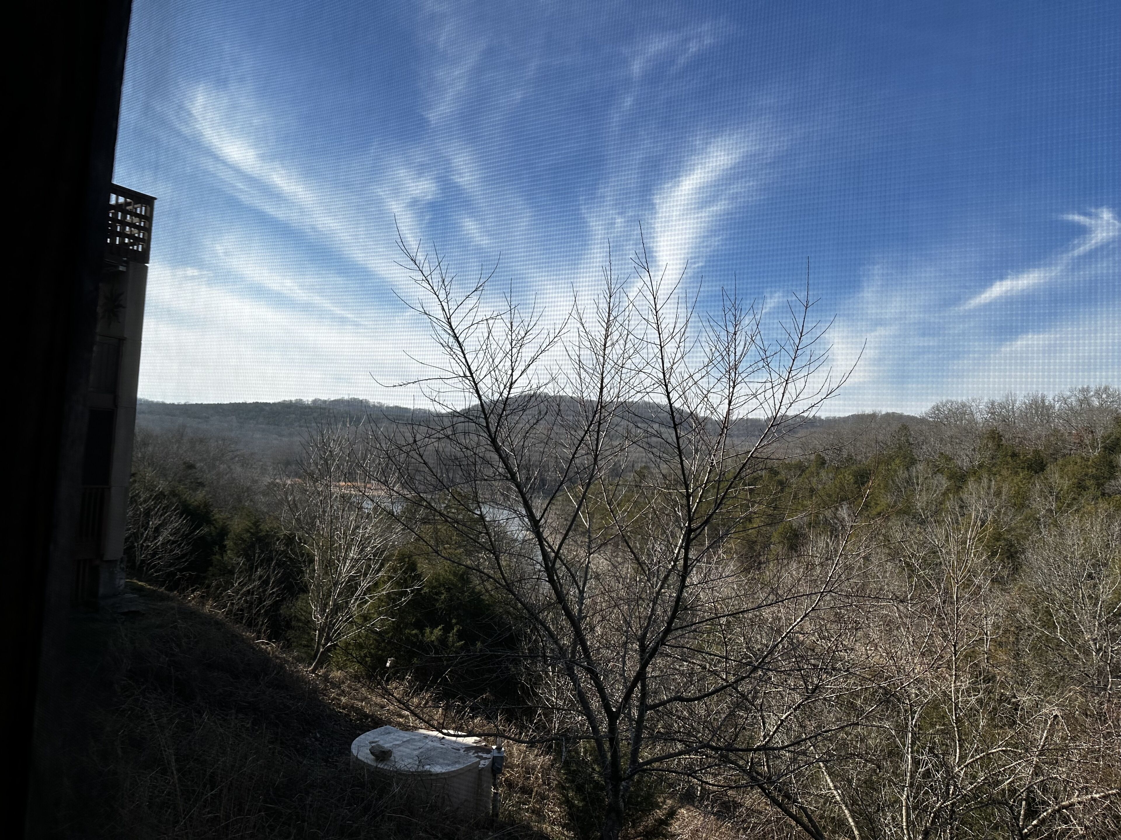 Une vue d’un paysage montagneux, avec un ciel dégagé et un arbre au premier plan.