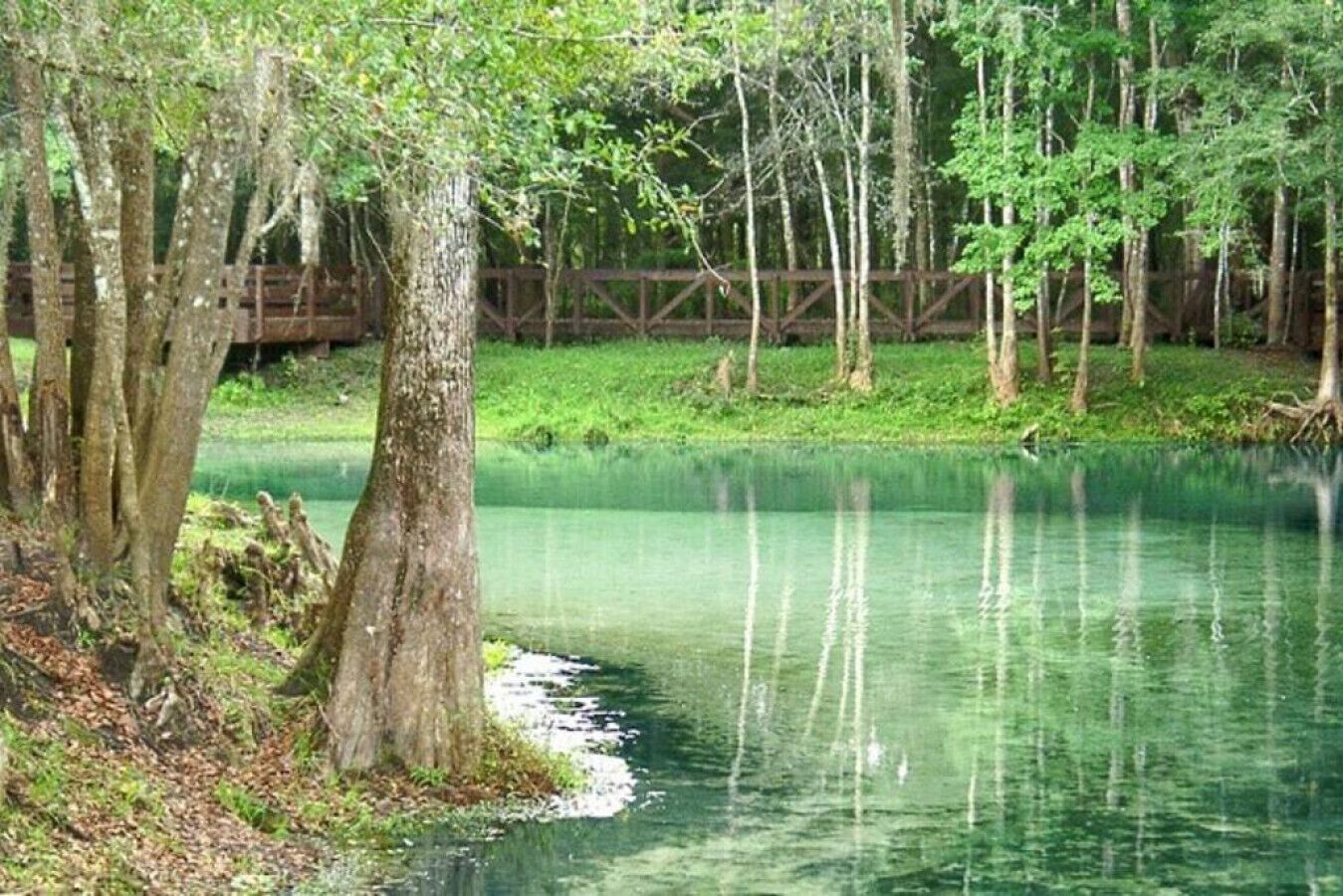 A calm river with trees and a wooden bridge.