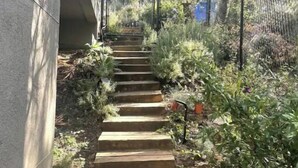 Una escalera de hormigón que sube hacia un edificio, rodeado de vegetación y una valla metálica.