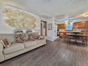 Smart TV, fireplace, books