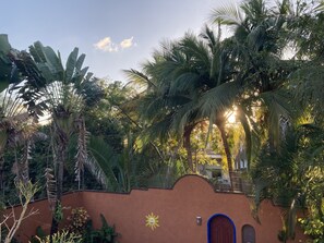 Property grounds - Casa Fiesta, Best Place to Rest, 1 Block Away From the Beach Owner Managed (Rincón de Guayabitos)