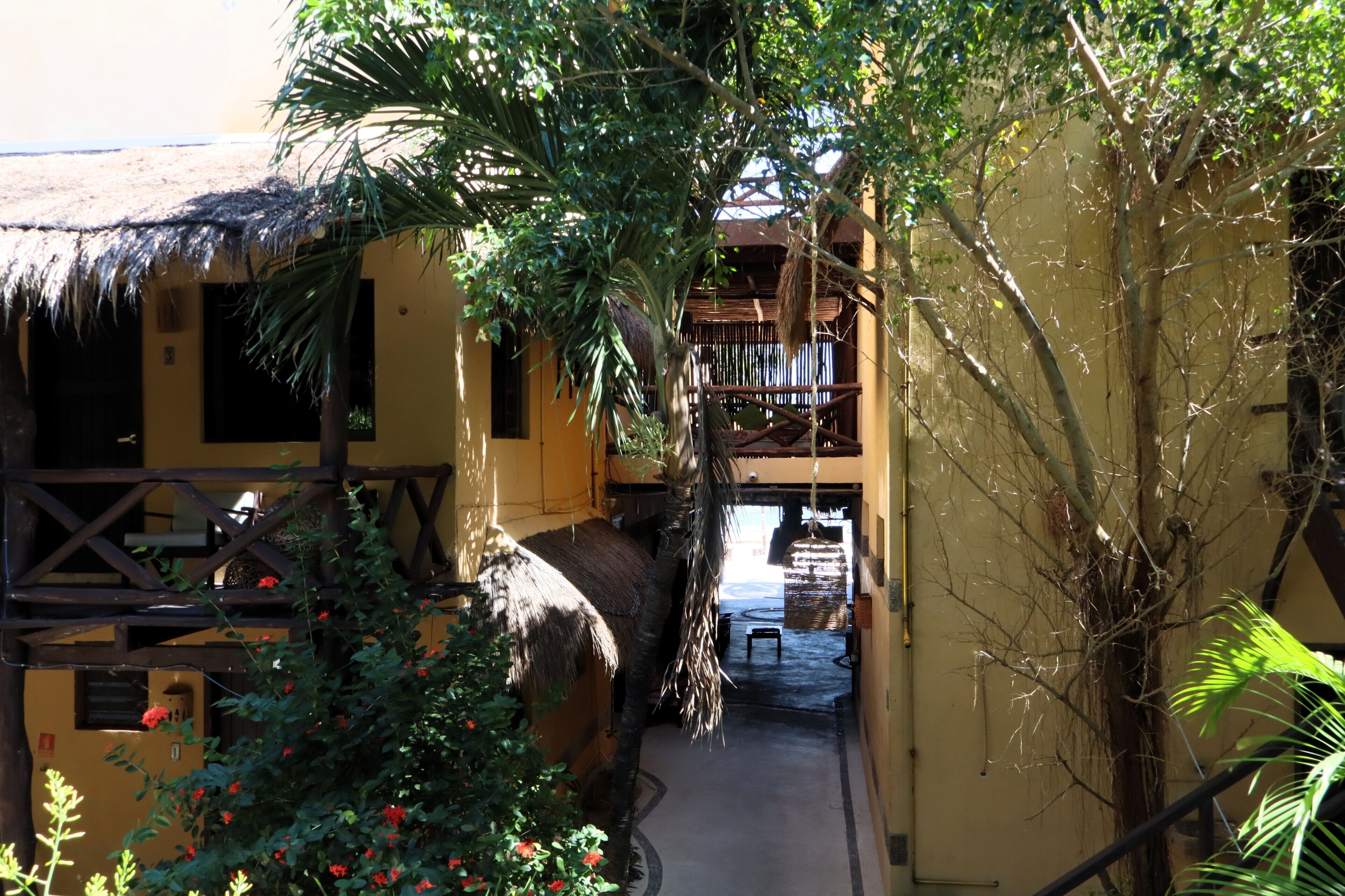 Foto - Hotel Luna de Plata