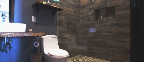 A modern bathroom with a toilet, shower, and a sink area.