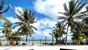 A wooden table with a laptop and a glass of wine, overlooking a beach with palm trees and the ocean. - Hotel Luna de Plata (Mahahual)