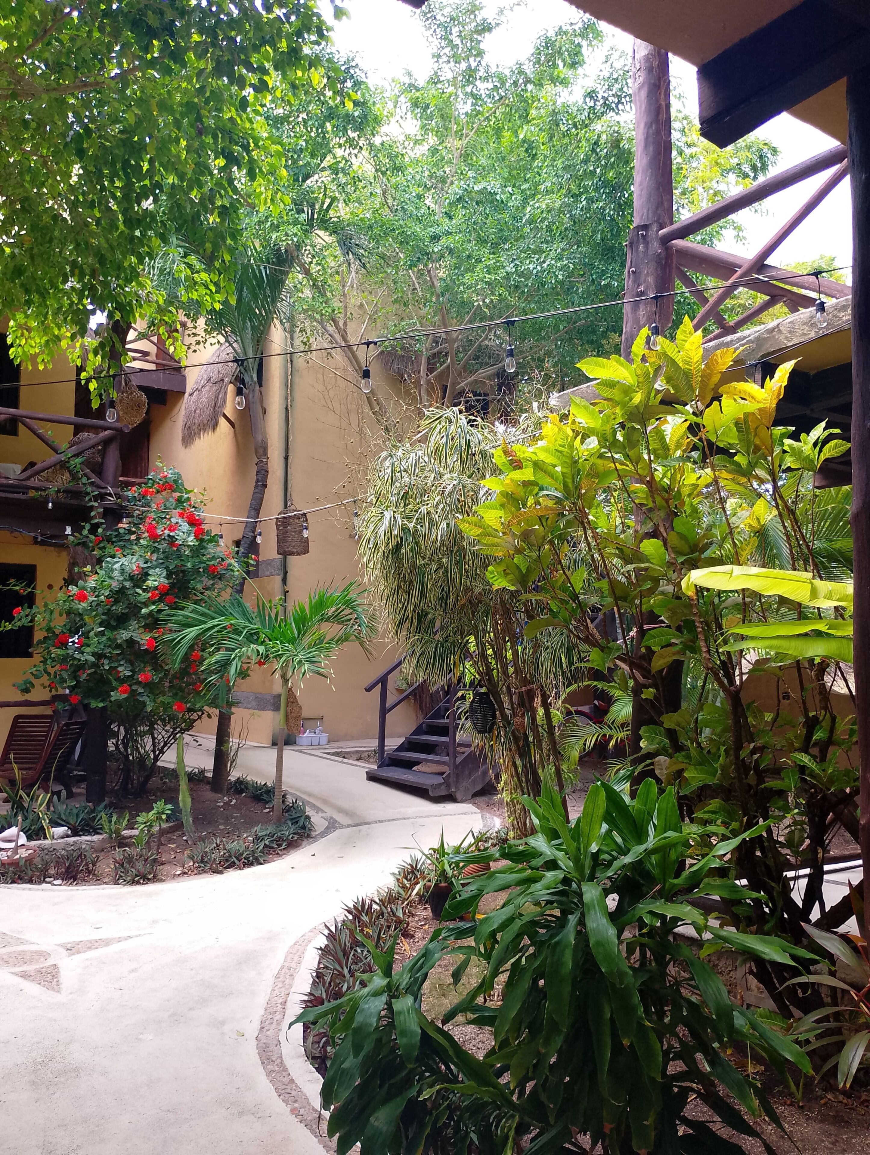 Foto - Hotel Luna de Plata