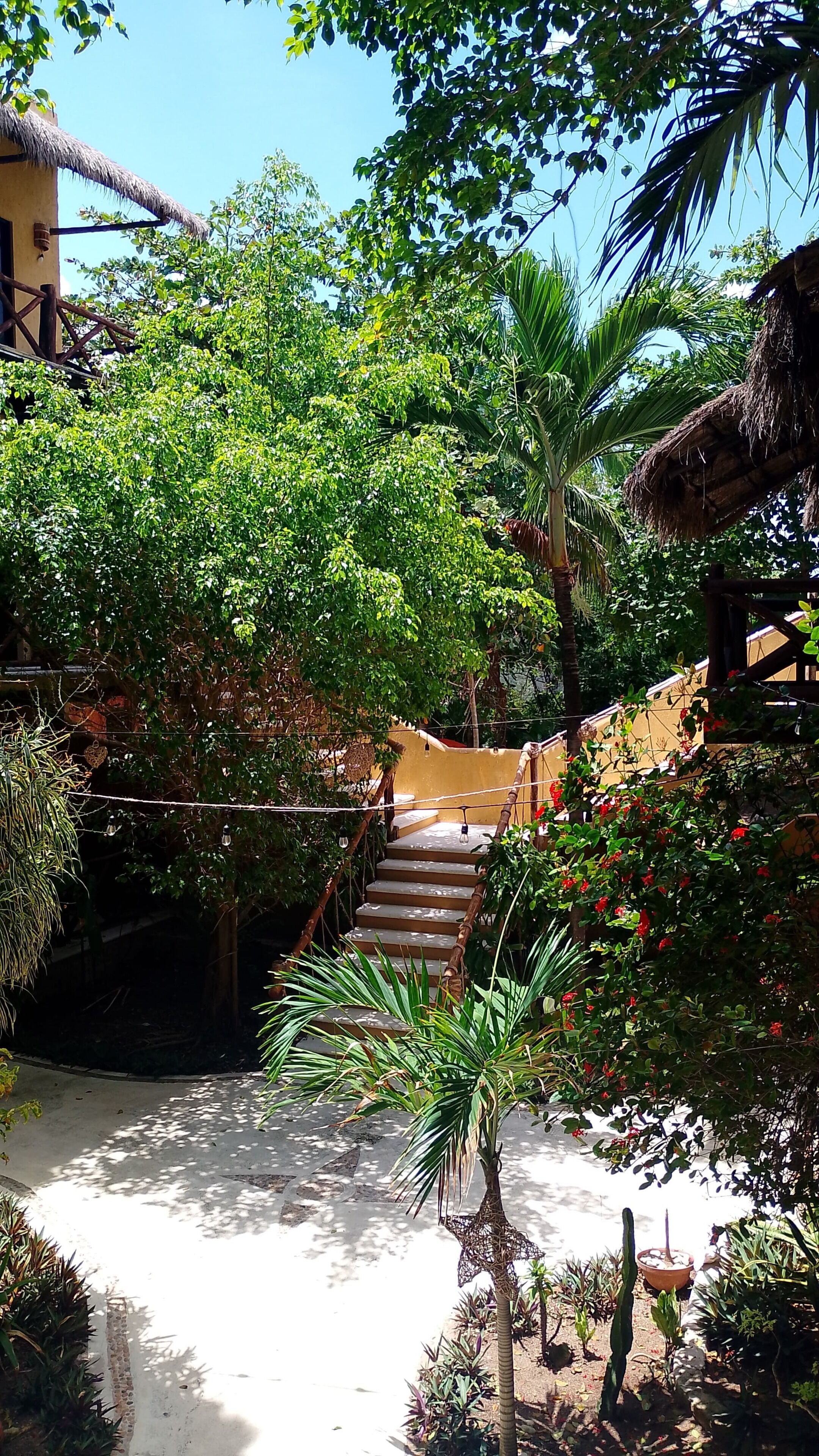 Jardín