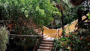 A garden pathway leading to a building with a thatched roof, surrounded by lush greenery and a palm tree. - Hotel Luna de Plata (Mahahual)