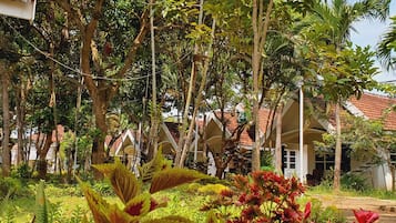 Hiên