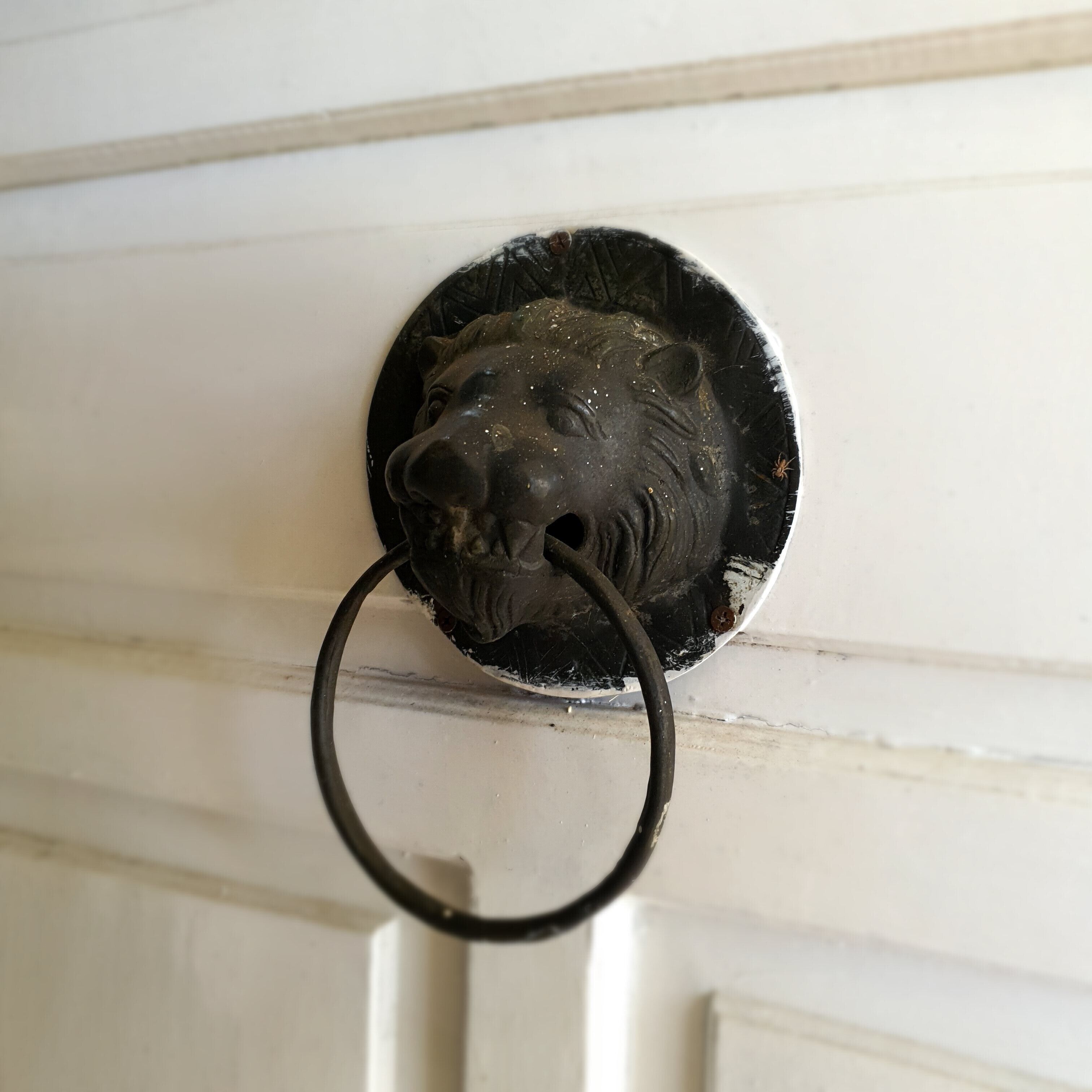 Een deur met een ronde metalen deurklopper in de vorm van een leeuwenkop.