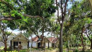 A residential area with two houses, a paved pathway, and lush greenery. - Tengger Guest House (Pasuruan)