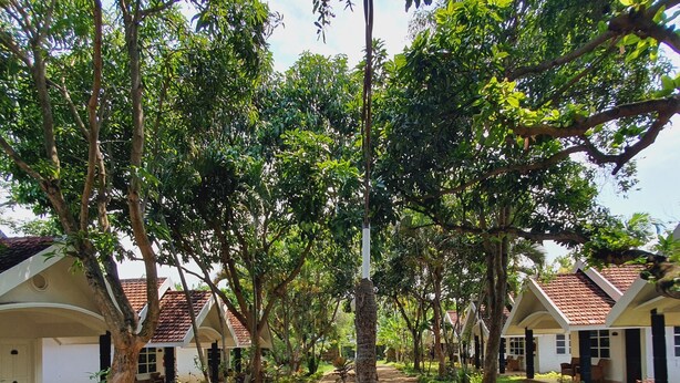 A pathway lined with trees leading to white buildings with red-tiled roofs. - Tengger Guest House (Pasuruan)