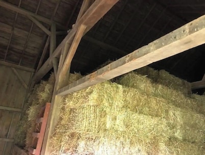 Big Barn Mow 