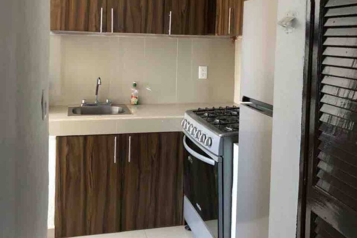 Family Apartment | Private kitchen | Fridge, microwave, oven, blender