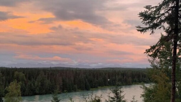 A wooden bench overlooking a river with a forested landscape and mountains in the distance. - Cabin 1 on the Kenai River!best view cabin (Sterling)