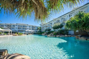 Pool - The Pool Resort Kingscliff - One Bed Pool View (2206) - Holiday Management Co. (KINGSCLIFF)